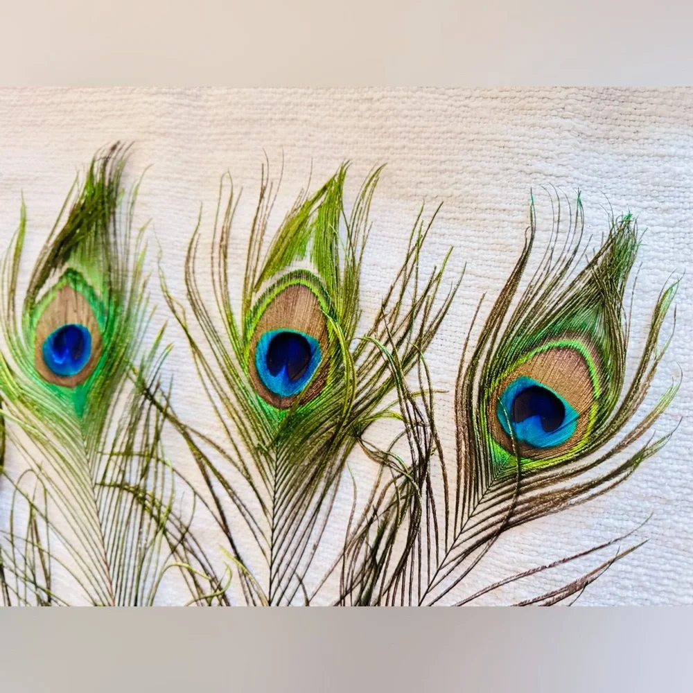 16” Big Eye Natural Peacock Feather Floral Home Decor & Arts Crafts 5 Feathers